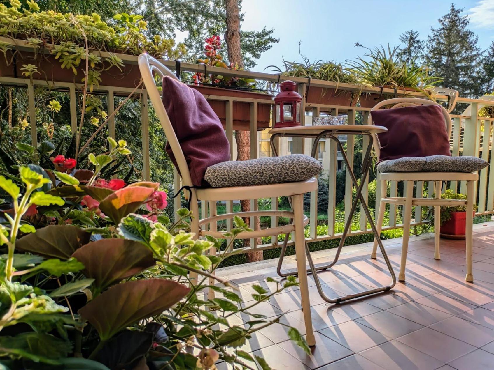 Appartamento Viale Puccini - Free Gated Parking - 3 Minutes From Center Лукка Экстерьер фото